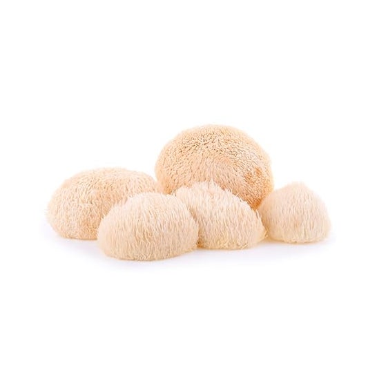 100% Natural Micovital Melena León 60 caps