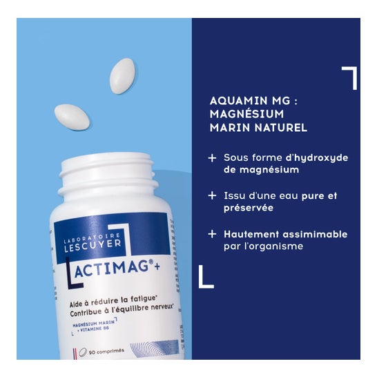 Lescuyer Actimag+ 90comp