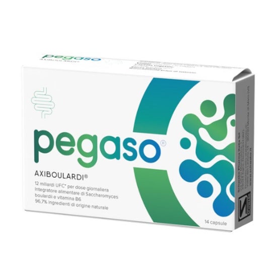 Pegaso Axiboulardi 14caps