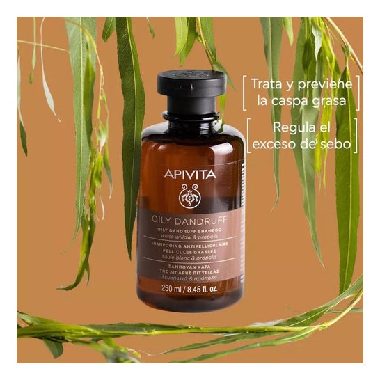 Apivita Champu Anticaspa Grasa 250ml