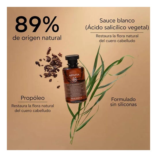 Apivita Champu Anticaspa Grasa 250ml