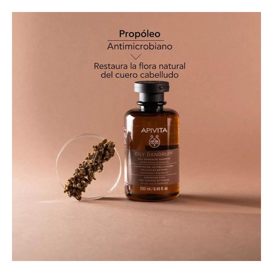 Apivita Champu Anticaspa Grasa 250ml