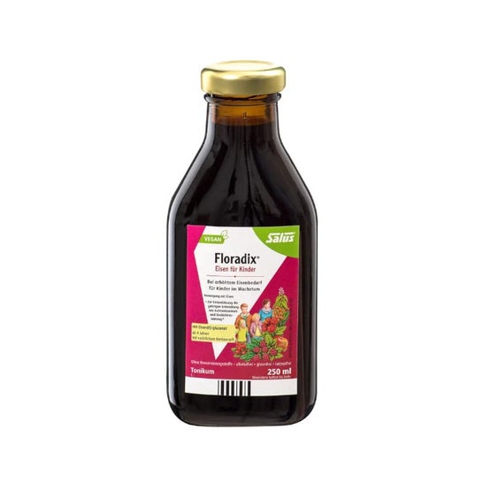 Salus - Floradix Kids 250ml