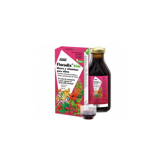 Salus - Floradix Kids 250ml