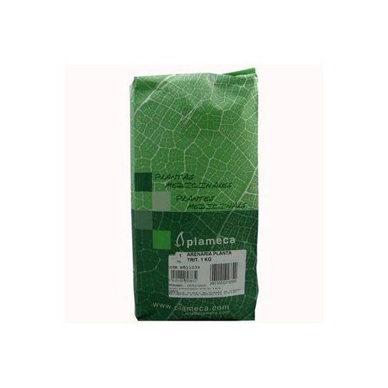 Plameca Hiperico Hierba Triturada 1Kg