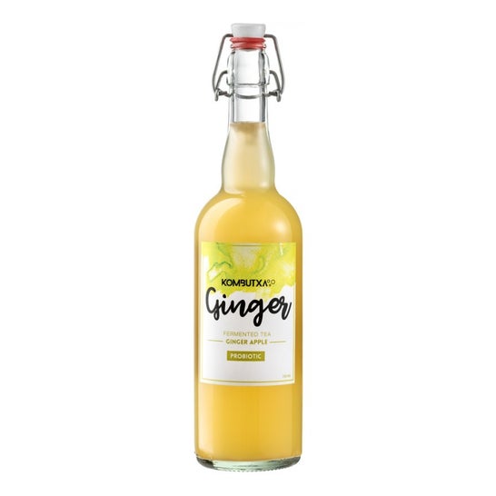 Kombutxa Te Jengibre Manzana 750ml