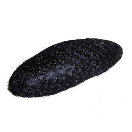 Eurostil Relleno Moño grande Alargado Negro 1 ud