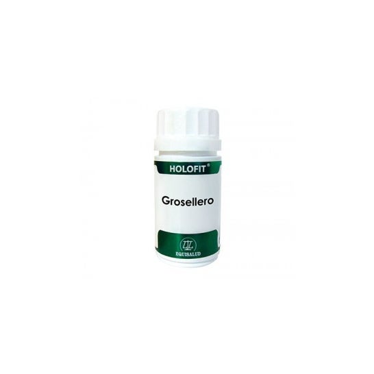 Equisalud Holofit grosellero 60 caps