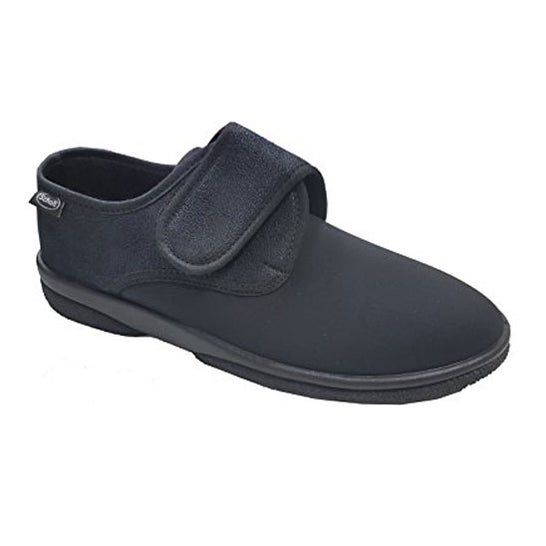 Scholl Rhemes Nº43