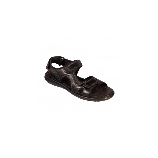 Scholl Eric Negro T44