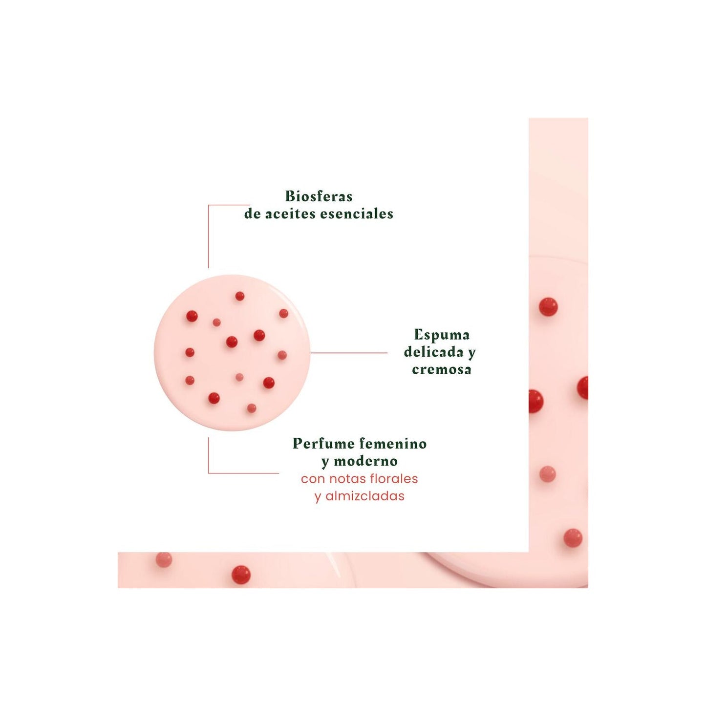 René Furterer Tonucia Natural Filler Champú Repulpante 200ml