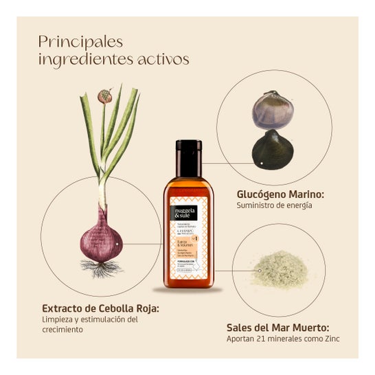 Nuggela & Sulé Champú nº1 Fuerza y Volumen Cebolla Viaje 100 ml
