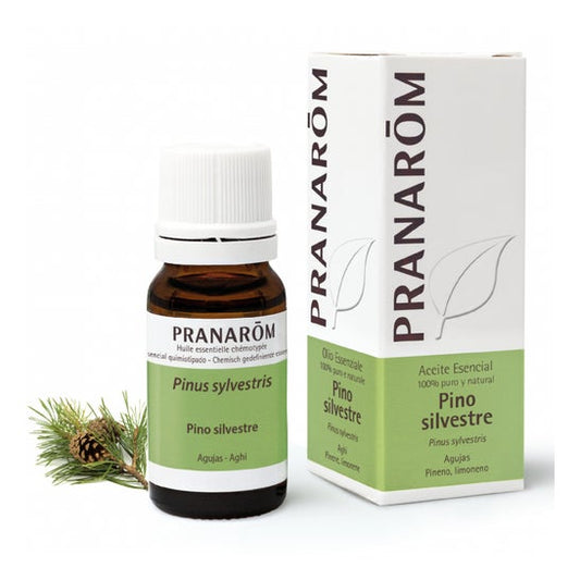 Pranarôm Aceite Esencial de Pino Silvestre 10ml