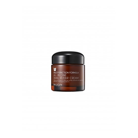Mizon All In One Snail Repair Cream 75 ml