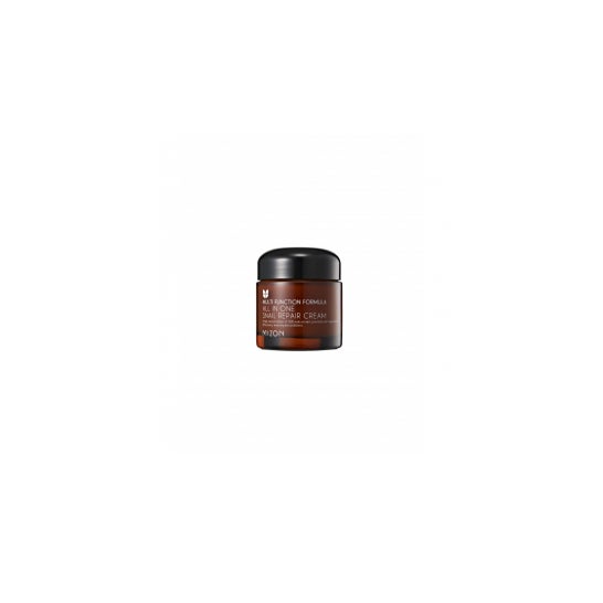 Mizon All In One Snail Repair Cream 75 ml