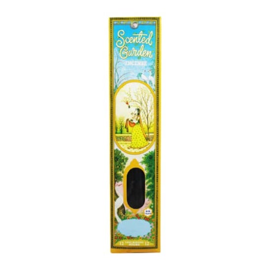 Radhe Shyam Incienso Stick Aloe Scented Garden 12uds