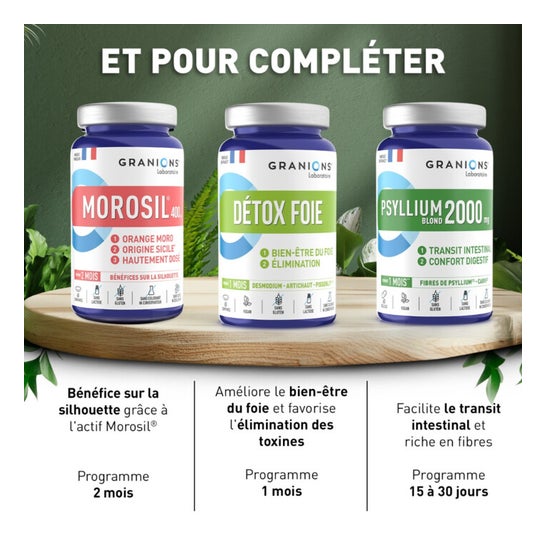 Granions Morosil 400mg 60 Comprimés