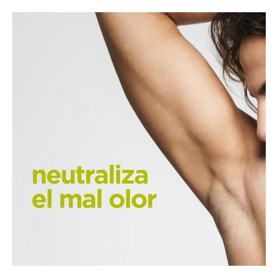 Dr.Organic Desodorante Árbol de Té 50 ml