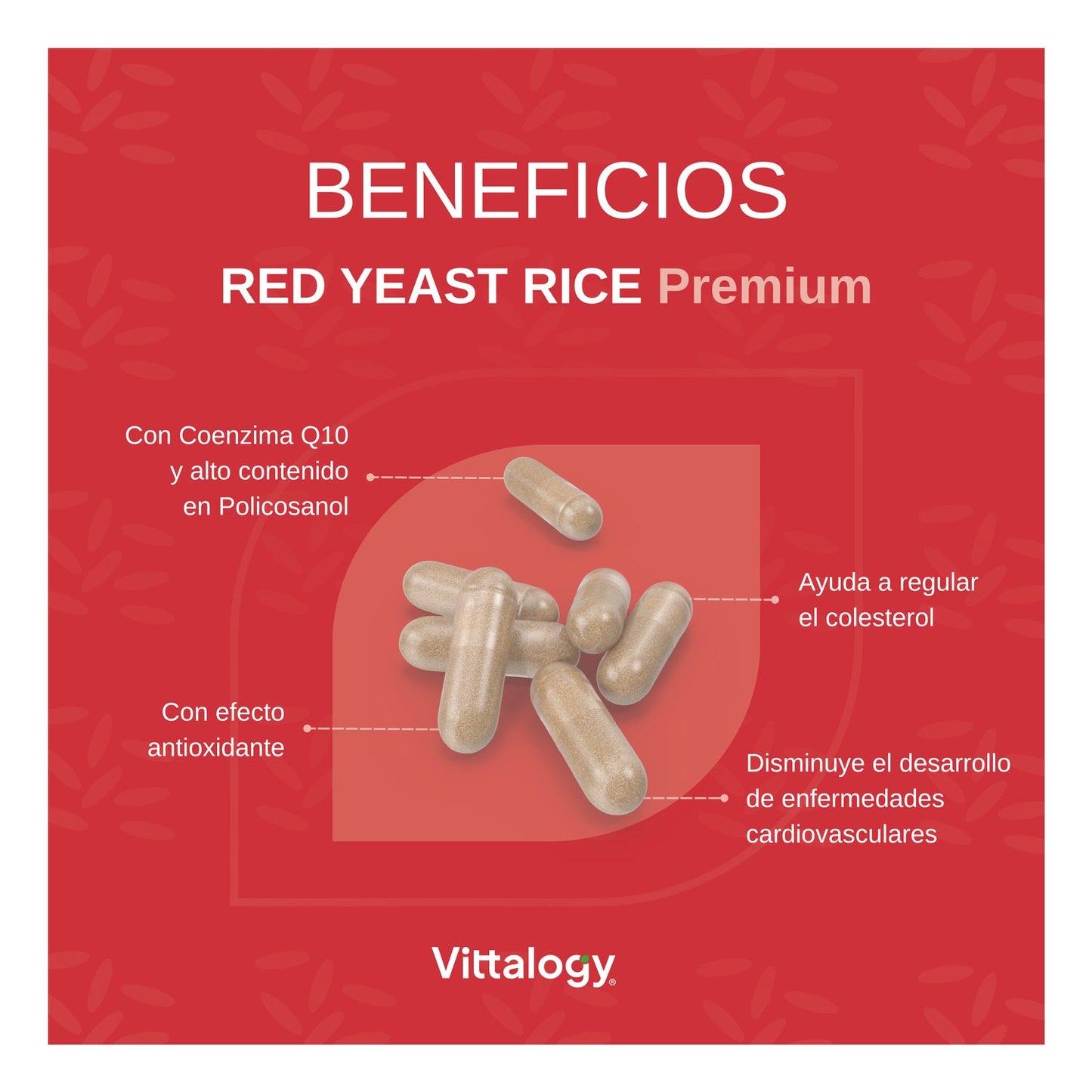 Vittalogy Red Yeast Rice Premium 120caps