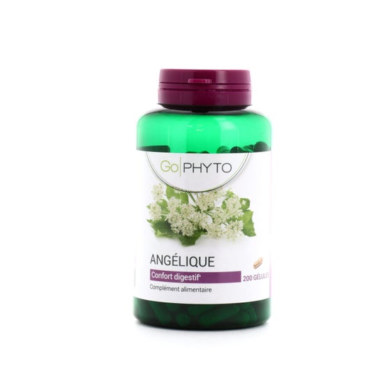 Go Phyto Angélique 200 caps