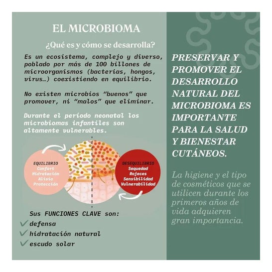 Suavinex Pediátrico Loción Hidratante Corporal 500ml