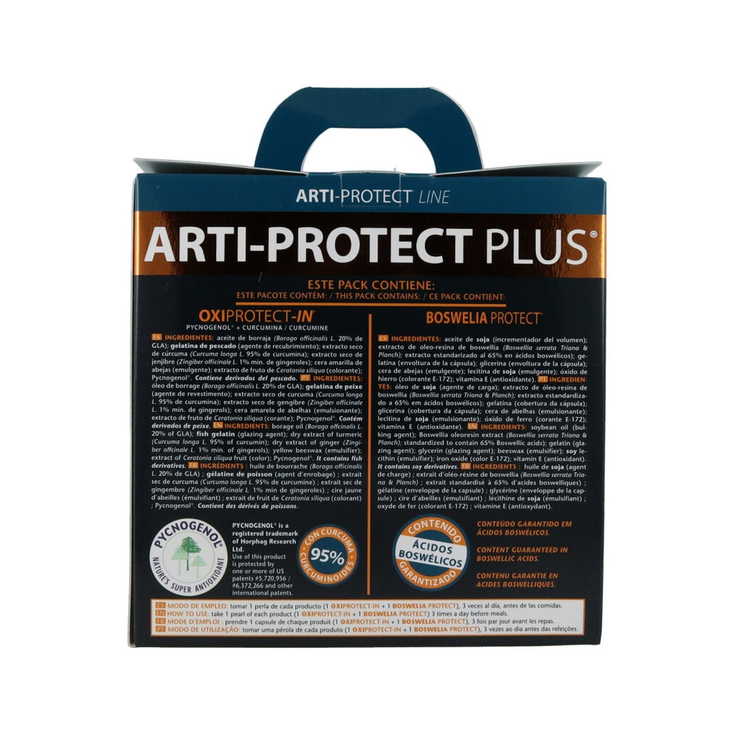 Intersa arti-protect Plus Pack 2 botes 45caps