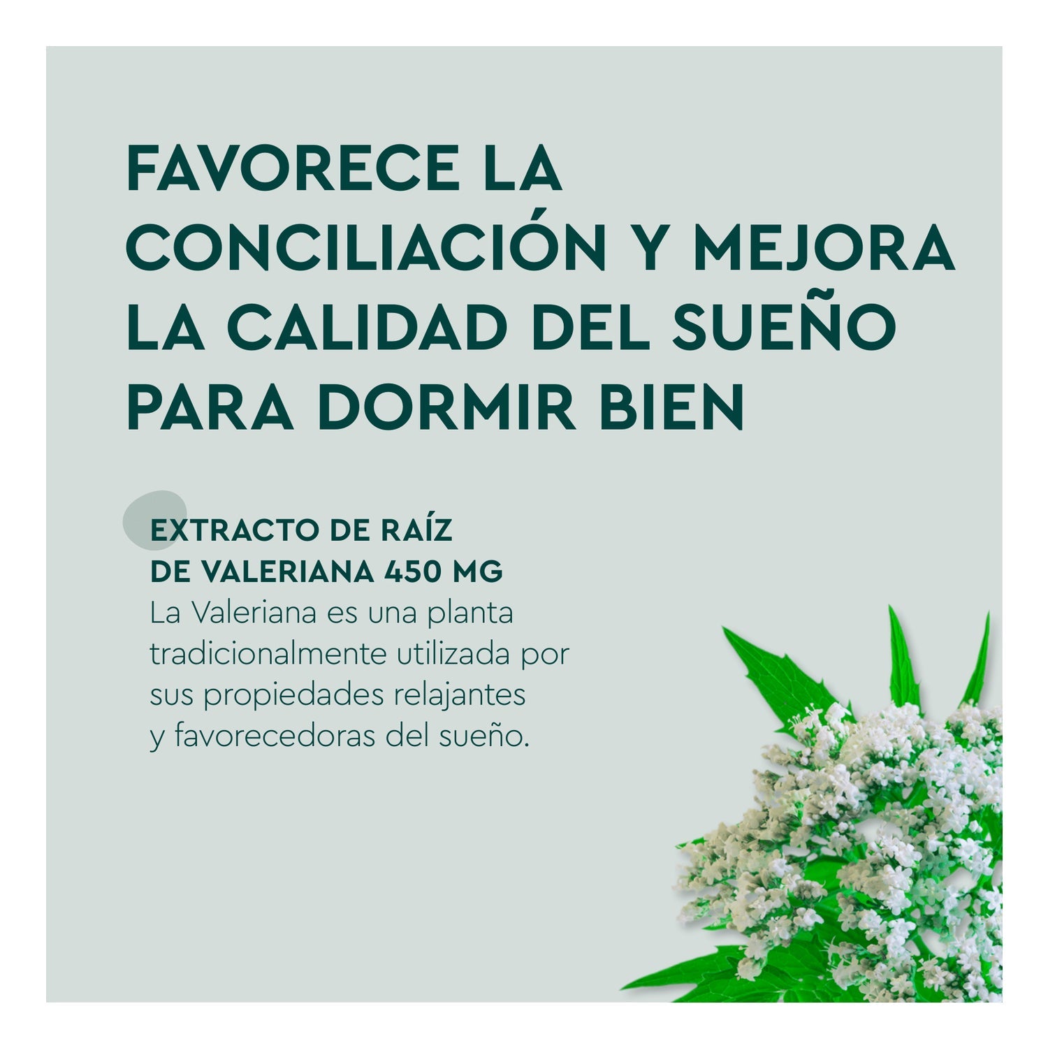 Kneipp Valeriana Forte Grageas 30uds