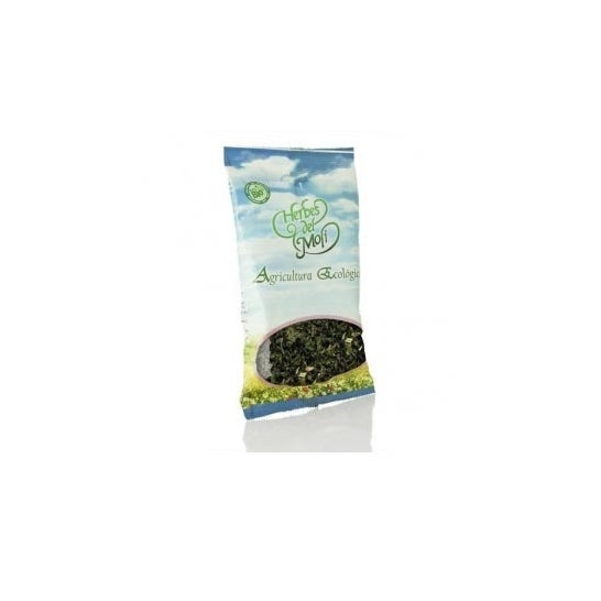 Ortiga Verde Planta Cortada 25 Gr