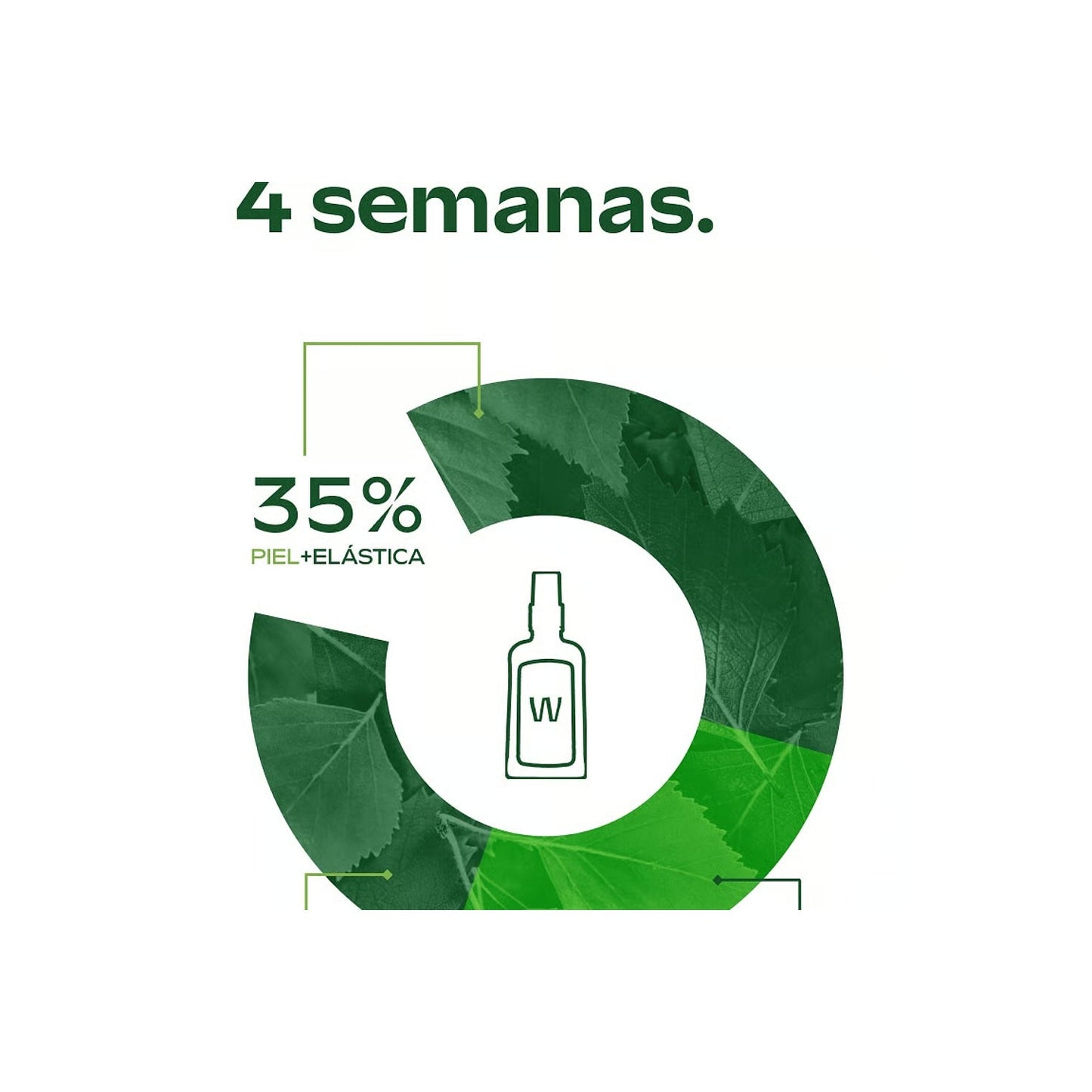 Weleda Aceite para la Celulitis de Abedul 2x100ml + Celulicup