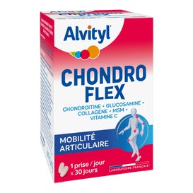 Alvityl Chondroflex 60comp