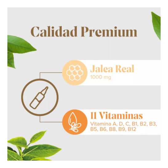 Arkopharma Arkoreal Vitadefensas con Vitamina B y C Sin Azúcar 20ampollas