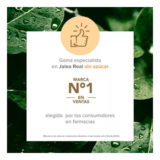 Arkopharma Arkoreal Vitadefensas con Vitamina B y C Sin Azúcar 20ampollas