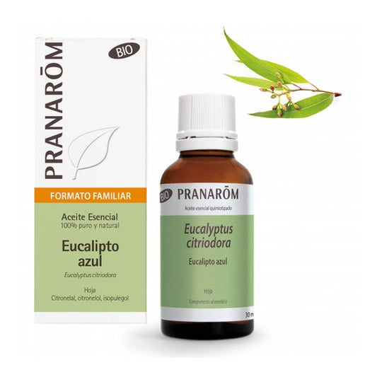 Pranarôm Aceite Esencial de Eucalipto Azul BIO Formato Familiar 30ml