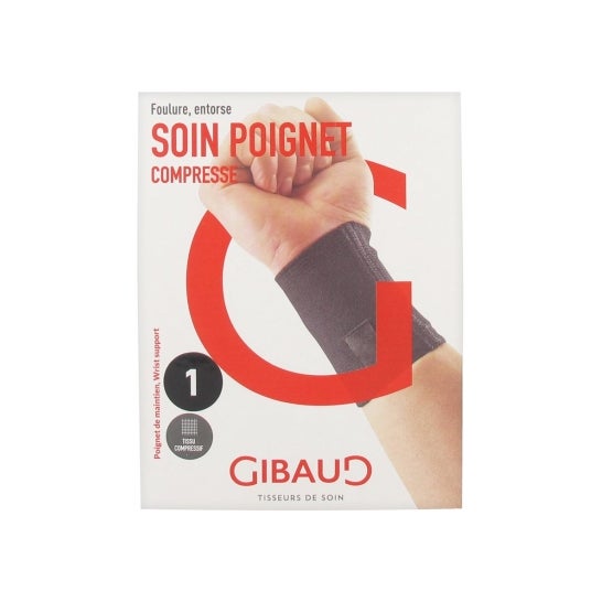 Gibaud Poign Conseil 5033 T1