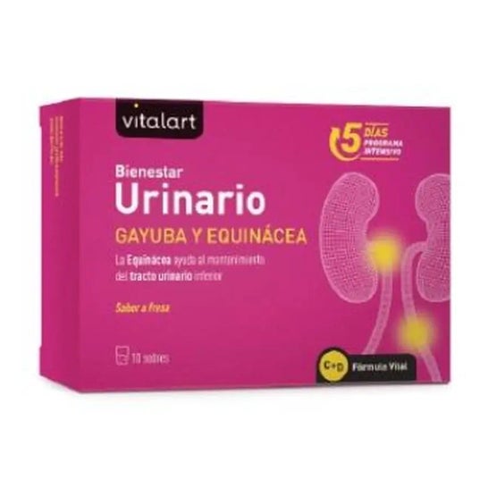 Vitalart Bienestar Urinario 10 Sobres