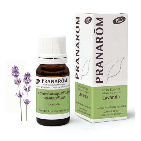 Pranarôm Aceite Esencial de Lavanda BIO 10ml