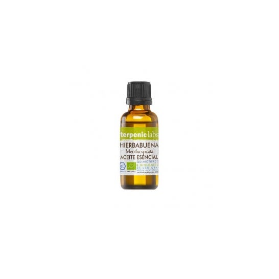 Terpenic Labs Hierbabuena Bio 30 ml