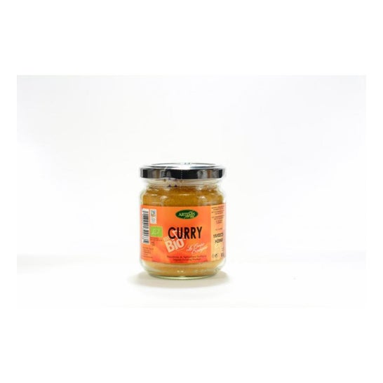 Artemis Curry XL Bio 80g