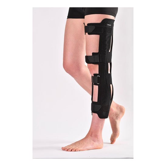 Gibaud Férula para Rodilla Gib 6911 0/20° T3 1 ud