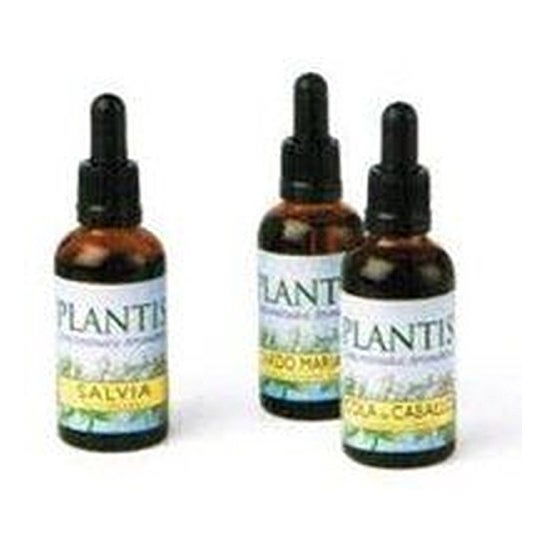 Plantis Extracto Cola Caballo Sin Alcohol 50 ml