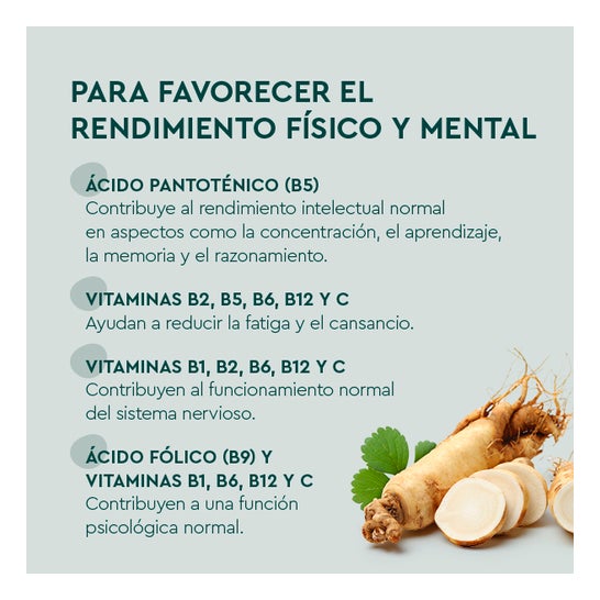 Kneipp Memoria y Concentración 30caps