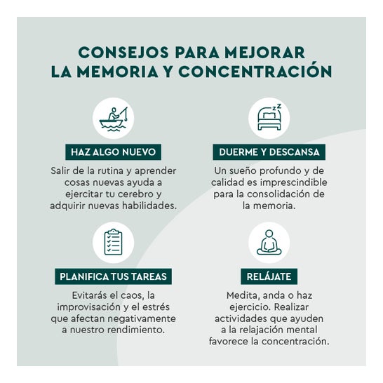 Kneipp Memoria y Concentración 30caps