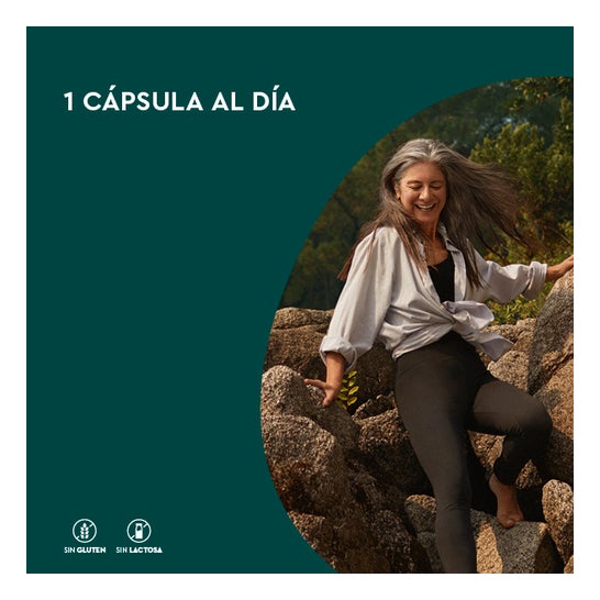 Kneipp Memoria y Concentración 30caps