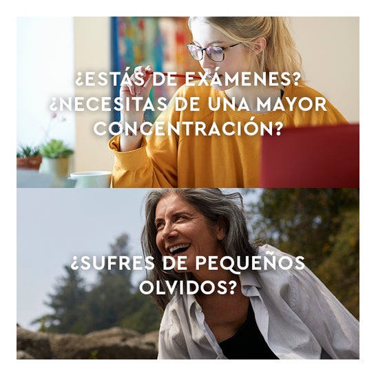 Kneipp Memoria y Concentración 30caps