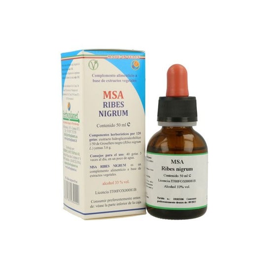 Msa Ribes Nigrum 50 ml