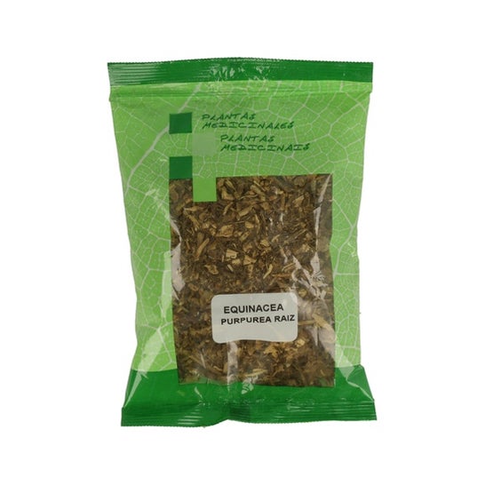Plameca Equincea Purpurea Raz Triturada 1000g