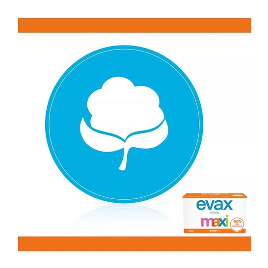 Salva Slip Evax Maxi 40uds