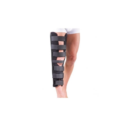 Gibaud Attel Knee 4212 20° T2