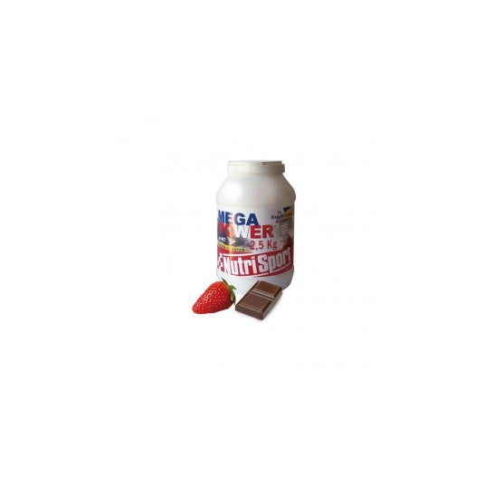 Megapower bote 2.5 KG + Nutrisport + Chocolate