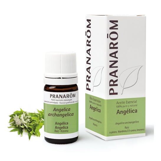 Pranarôm Aceite Esencial de Angélica 5ml